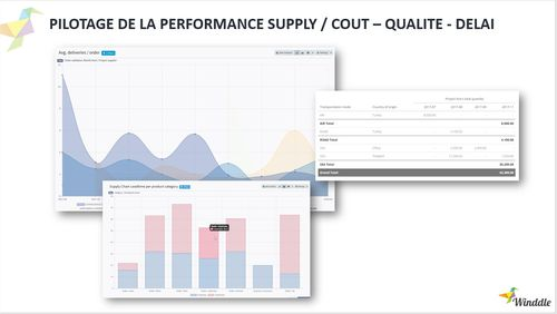 WINDDLE : Pilotage de la performance Supply / Coût - Qualité - Délai