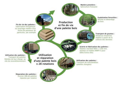 Cycle de vie de la palette bois