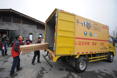 Le « pandastique voyage de Hao Hao et Xing Hui » a débuté au Centre chinois de recherche et de conservation du panda géant (China Conservation & Research Center for the Giant Panda, CCRCGP) à Chengdu, en Chine, le 22 février