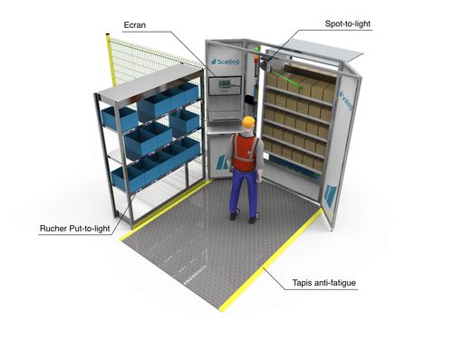 Scallog innove avec le « SpottoLight »