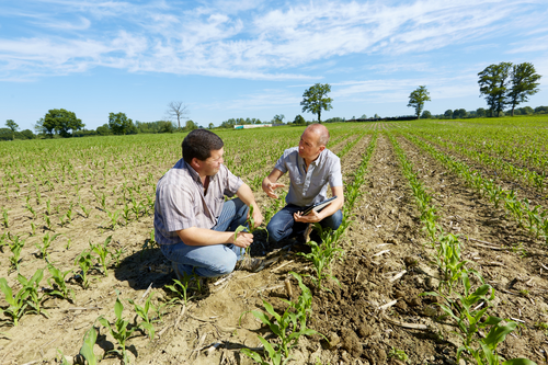 TIMAC AGRO digitalise son pool transport avec le TMS de planification et d'optimisation de tournées PTV Route Optimiser