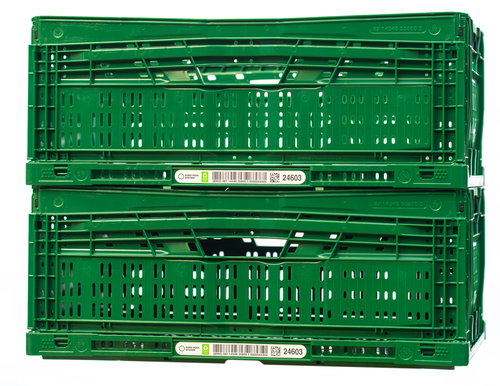 Premiers bacs pliants recyclés Euro Pool System mis en circulation pour le transport des fruits et légumes