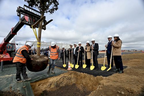 Un premier arbre adulte (plus de 10m) a été planté en présence de Laura Toledano, Directrice Générale France de Zalando et Laurent Horbette, CEO de GEMFI, en présence des autorités locales et des partenaires du projets