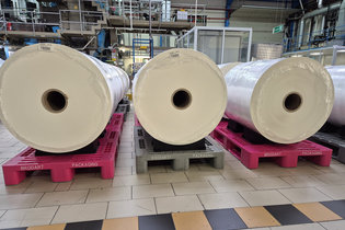 Palettes sur mesure pour un emballage fromager d’exception