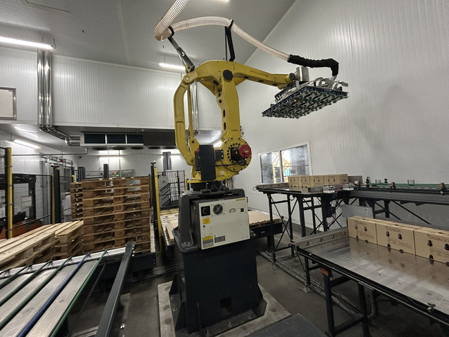 Cette seconde installation fait suite &agrave; une premi&egrave;re ligne de palettisation d&eacute;j&agrave; d&eacute;ploy&eacute;e il y a quelques ann&eacute;es sur le site de Ch&acirc;teauneuf-sur-Is&egrave;re.<br>
                            Cr&eacute;dit photo : PROMALYON