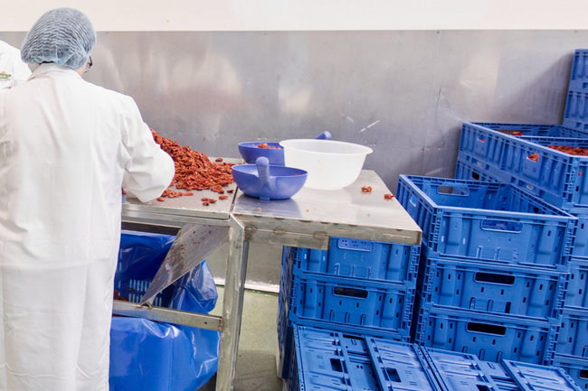Le choix d&rsquo;Almeda intervient sur un march&eacute; europ&eacute;en des salades emball&eacute;es estim&eacute; &agrave; 4,11 milliards de dollars en 2023, avec une croissance annuelle pr&eacute;vue de 7,2 % jusqu&rsquo;en 2030 selon Grand View Research.<br>
Cr�dit photo : Tosca et Almeda.