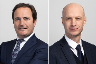 Daher r&eacute;organise sa gouvernance