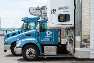 Rainforest Distribution choisit Manhattan Associates