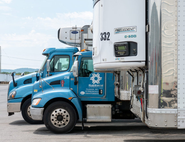 Rainforest Distribution est un distributeur nord-am&eacute;ricain sp&eacute;cialis&eacute; dans les produits alimentaires et les boissons, avec une offre de services logistiques compl&egrave;te pour ses clients<br>
Cr�dit photo : Manhattan Associates