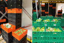 Almeda et Tosca misent sur la circularit&eacute; logistique