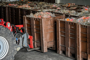 Craemer optimise la logistique d&rsquo;une entreprise roumaine de bio&eacute;nergie