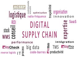 La Digital Supply Chain associe deux univers : celui de la supply chain et celui de l’informatique. Et pour nous, ils sont fondamentalement indissociables. 