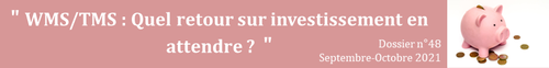 "WMS/TMS : quel retour sur investissement en attendre ?"