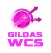 GILDAS WCS