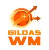 GILDAS WM