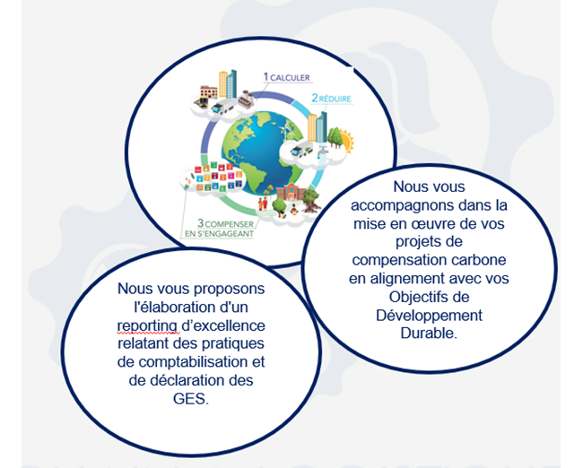 La neutralité carbone de votre entreprise