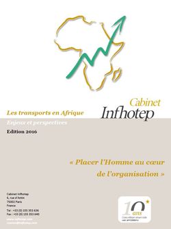 Les transports en Afrique : enjeux et perspectives (Etude du Cabinet Infhotep)